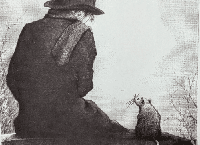 A Very Patient Rat 🐀 A Very Patient Rat 🐀